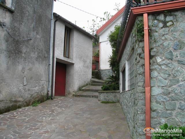 Rughe suprane 018